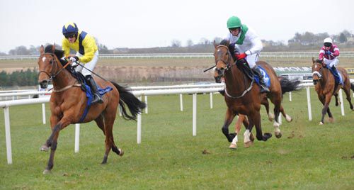 Private Treasure gallops to victory at Limerick