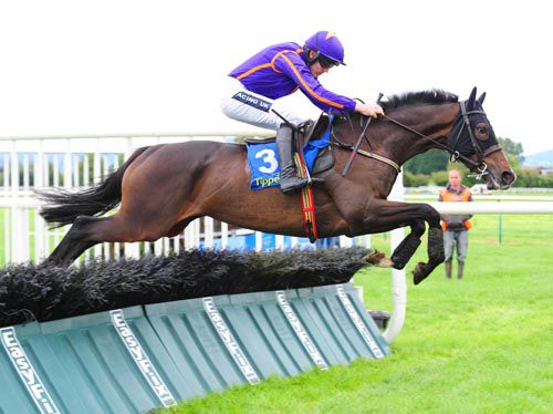 Arctic Fire took the first under Ruby Walsh at Tipperary