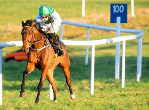 Western Boy strides to victory in the finale at Thurles under Katie Walsh