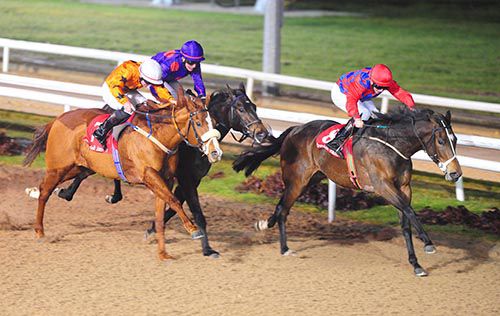 Reckless Lad beats Miller Beach and Doc Holliday at Dundalk