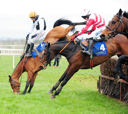 Baby Shine falls at the last as Caoimhe's Delight takes the glory