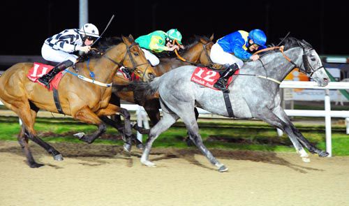 Six Silver Lane (Colm O'Donoghue) holds off Stoichkhov (green) and Phils Wish (nearside)