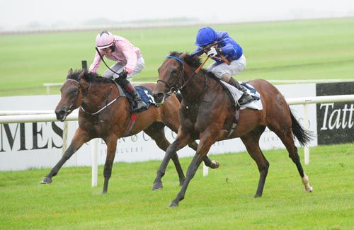 Herald The Dawn (right) and Kevin Manning beat Now Or Never