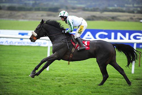 Our Duke impresses in Punchestown