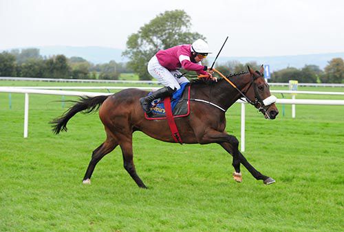 Monbeg Notorious strides clear in Tipperary