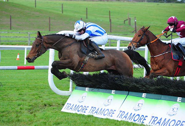 Brave Out (Denis O'Regan) jumps the last ahead of Berry Des Aulmes