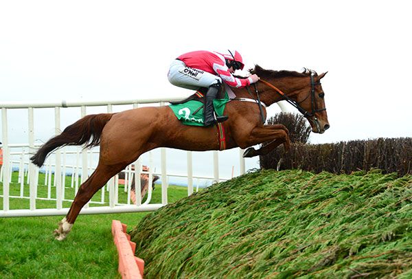 Acapella Bourgeois in winning action at Navan earlier this year