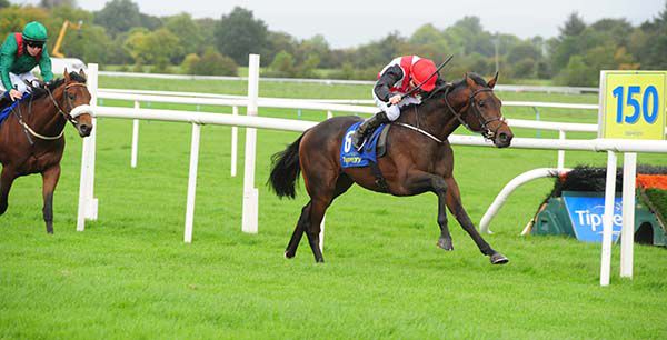 Whirling Dervish (Colm O'Donoghue) extends away from Tashman (Leigh Roche)