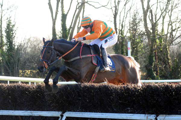 Eddies Miracle was engaged in the Clonmel hunter chase