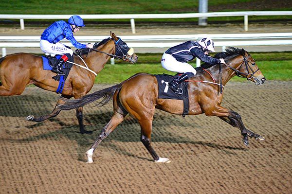 Zihba (Billy Lee) makes a winning debut at Dundalk last month