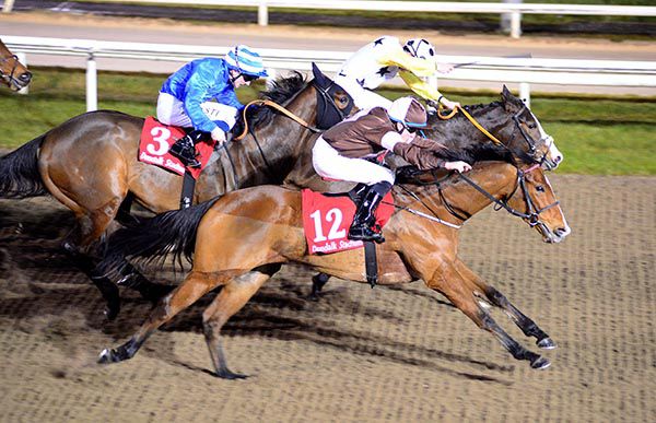 Flawlessly (nearside) gets there to win under Sean Davis