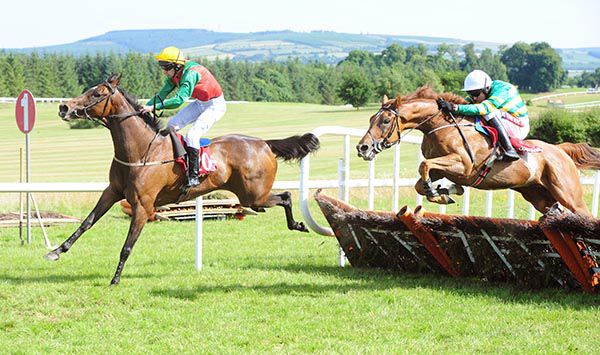 Housesofparliament (Barry Geraghty) comes to beat High Nellie (Cathal Landers) 