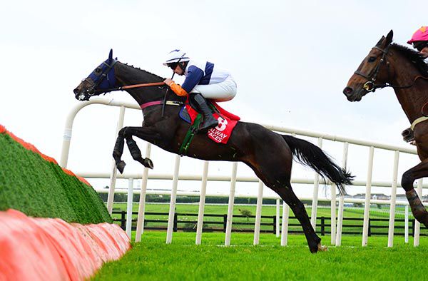 Presentingprincess takes off at the last under Conor Orr