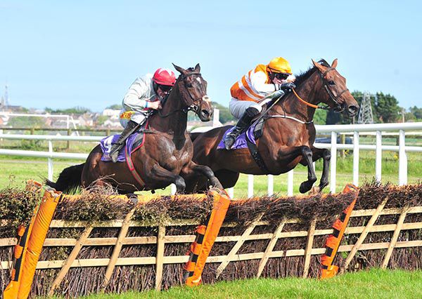 Cash Me Outside (right) winning at Wexford last year