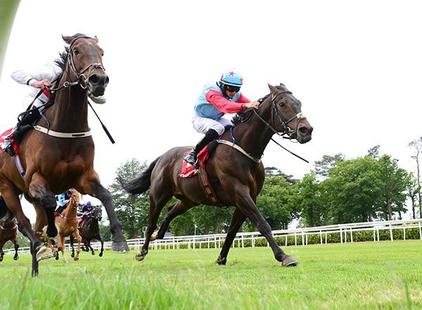 Mulzamm (right) got there in time under Joe Doyle to beat Above Us Only Sky (Seamie Heffernan, rails)
