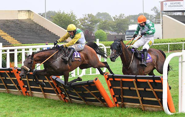 Twilight Girl blunders at the last and leads Comporta