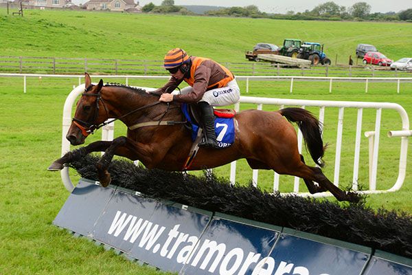 A lovely leap at the last from Trees Valley under Donagh Meyler