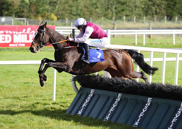Kitty Galore jumps the last under Sean O'Keeffe