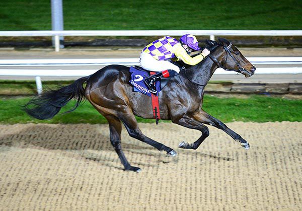 Pulse Of Shanghai goes for a four-timer in the last at Dundalk