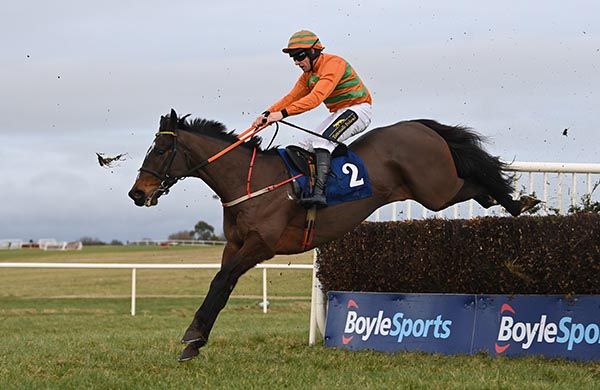 Ferns Lock clears the final fence for Barry O'Neill