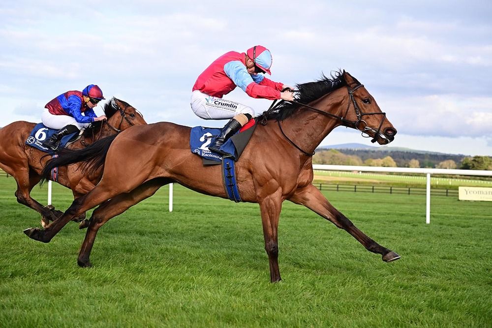 Moss Tucker (Billy Lee) winning at Naas this year