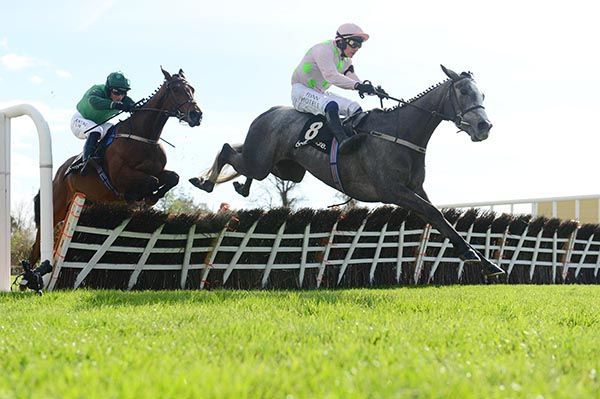 boylesports free bets for punchestown festival
