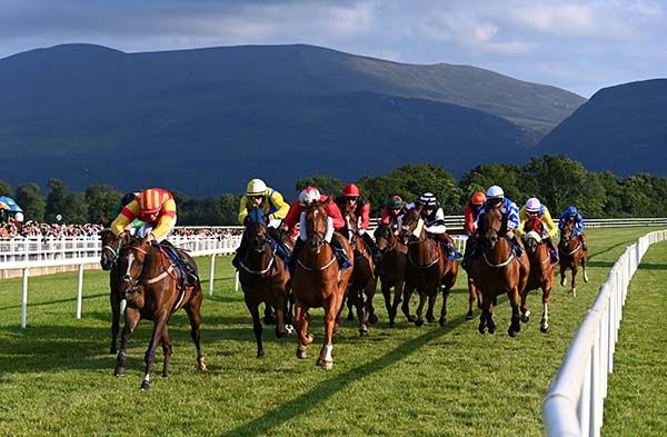 Chimeric (red & yellow) leads home his rivals under Donagh O'Connor