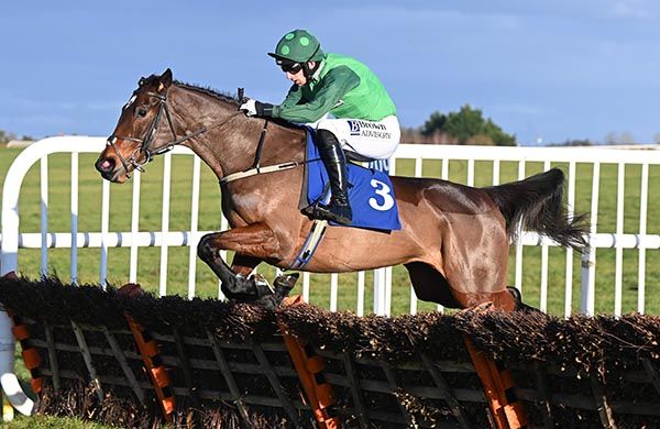 Odds-on favourites in maiden hurdles have become the norm