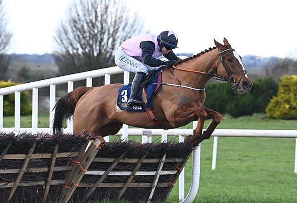 Hiddenvalley Lake puts in a good jump at the last