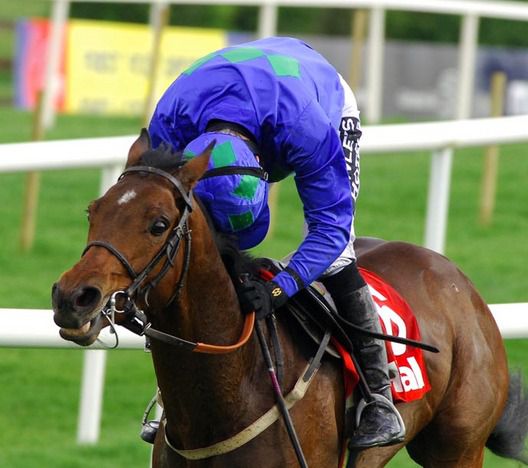 Hurricane Fly is in action at Punchestown this afternoon