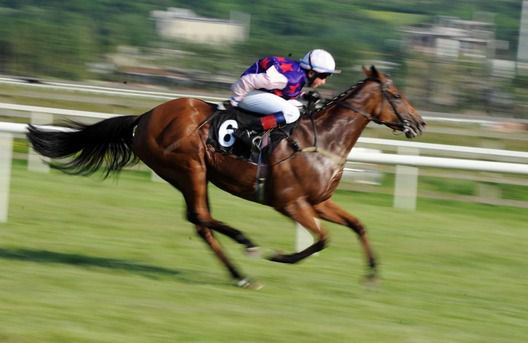 Conor Hoban aboard Damasque