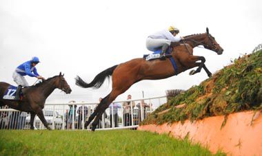 Ballyholland leads Dream Champion over the last