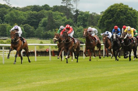 Cothrom Na Feinne wins at Gowran