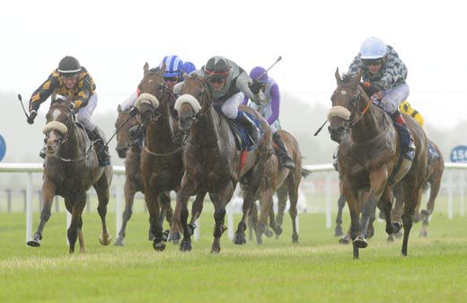 Johnny Murtagh aboard Signore Momento (White Cap)