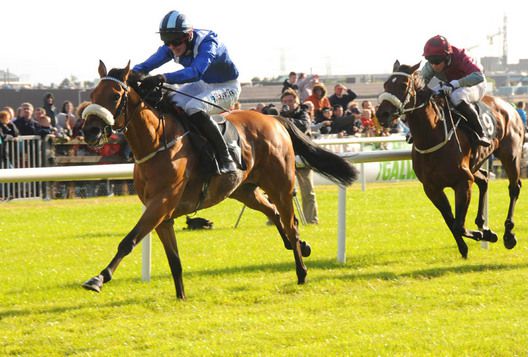 Ghimaar and Robbie McNamara win from Evening Rushour and Andrew Duff 