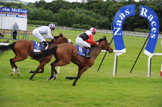 Gypsie Queen and Gary Carroll wins from Style Queen for trainer Joanna Morgan 