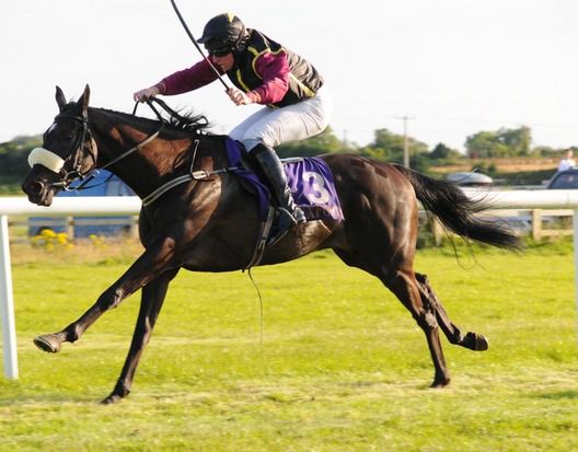 Macidoni and Jamie Codd win for trainer Mervyn Torrens  