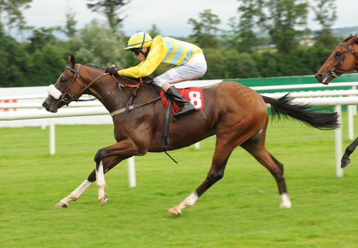 Danny Mullins aboard Todd's Forge gives Frank Ennis a double