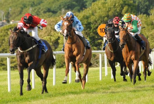 Belle Of The Lodge and Danny Grant win from Sian Thomas and Crowning Moment