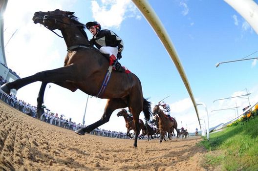 Cochlear and Mark Enright 