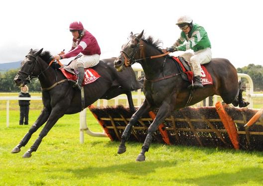 Cerveza Dinero (right) and Denis Hogan beat Warhead for trainer Charlie Swan