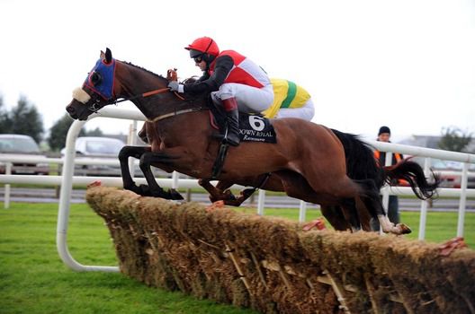 Nino Cochise and Shane McCann jumping to win for trainer Gordon Elliott 