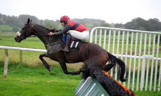 Loughaderra Dame and Davy Russell pops the last to win for trainer Liam Burke 