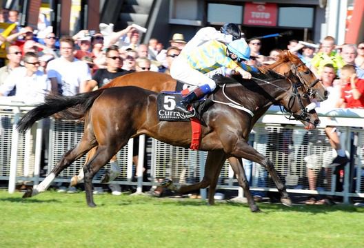 Pax Soprano Fran Berry and Final Flashback  Gary Carroll share a dead heat 