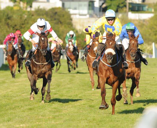 Lucky William and Mikey O'Connor win the bumper at Listowel