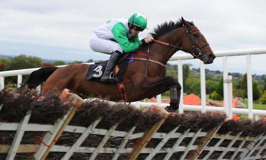 Ballinvassa and Ruby Walsh clears the last to win for trainer P J Colville 