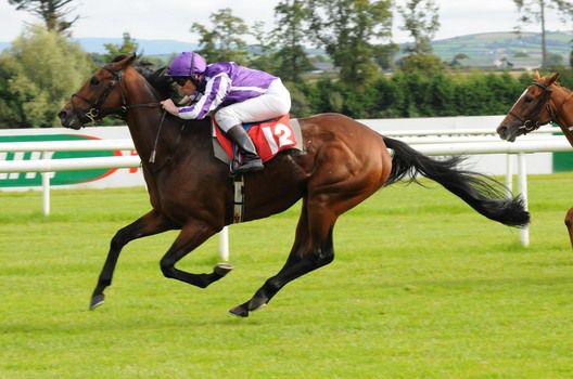 Maurice Utrillo wins under Seamie Heffernan