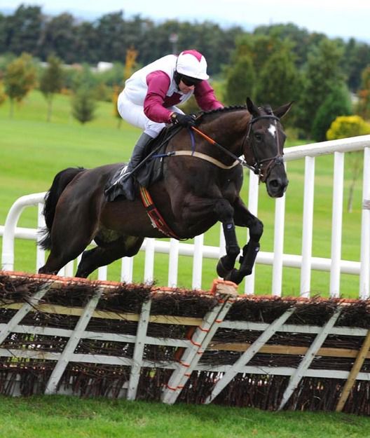 High Gales and David Casey win for trainer James Lambe 