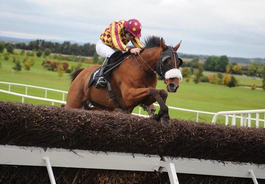 Reisk Superman and Ruby Walsh clears the last to win for trainer Tony Martin 