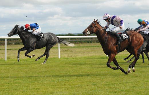 Patrickswell (Leigh Roche) about to defeat Thats A Fret (Ben Curtis)